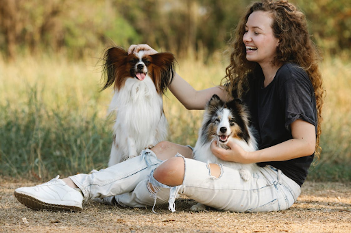 How To Address Data Privacy in QR Code Pet Tags?