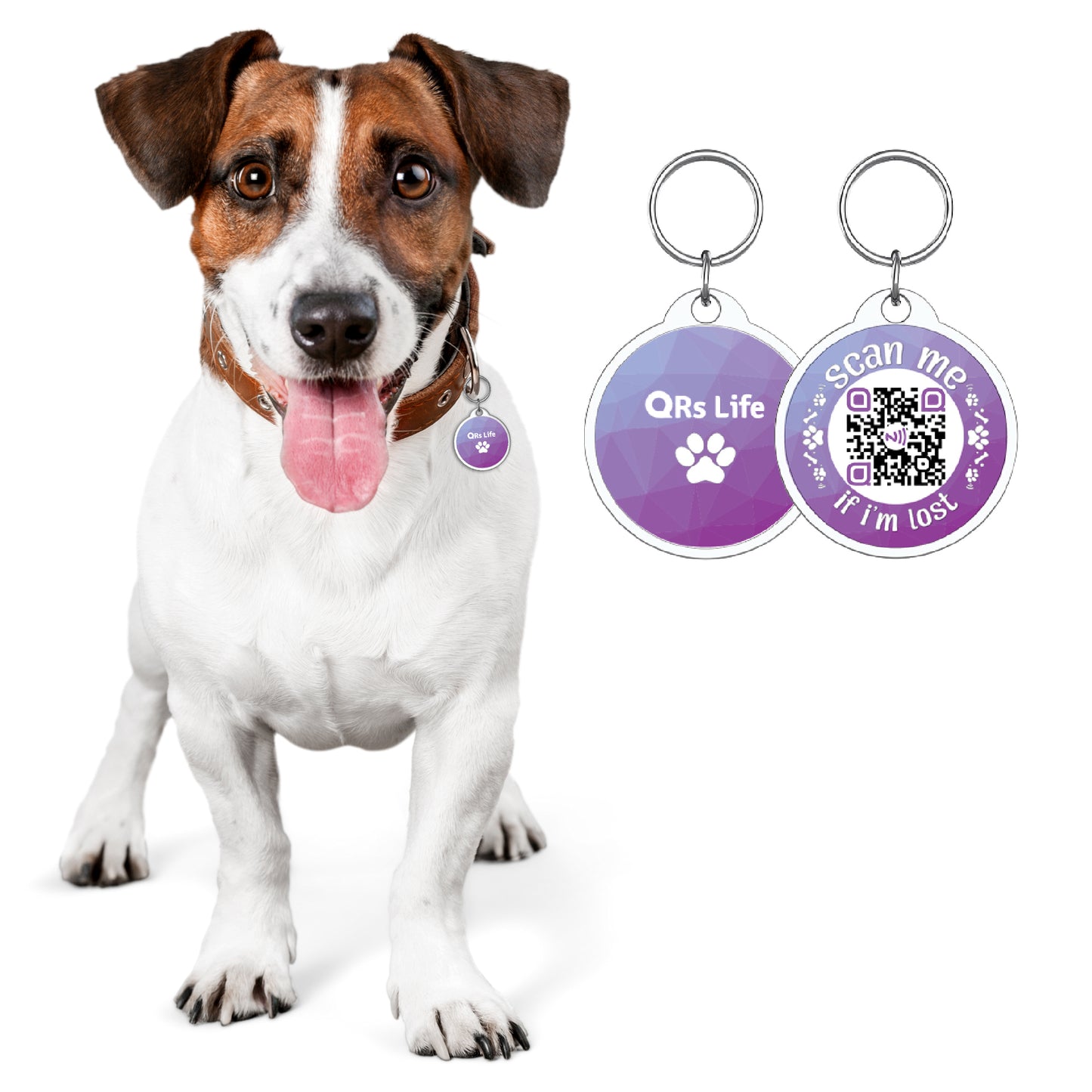 #1 QR code NFC Smart Pet Tag - QRs Life